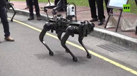 Taiwan unveils armed robot dogs (VIDEO) – Wazir