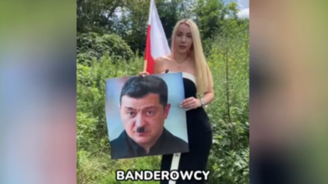 Polish politician throws ‘Hitler’ Zelensky portrait in trash (VIDEO) - Wazir July 14, 2026