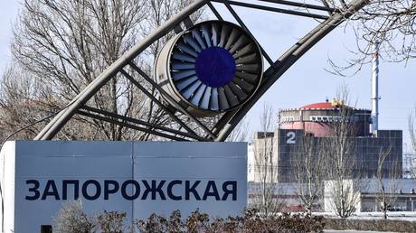Moscow demands IAEA action over ‘terrorist’ killing of nuclear plant staff - Wazir July 16, 2026