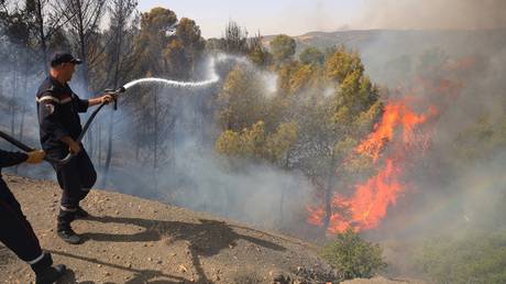 Algeria to impose death penalty for arson - Wazir September 2, 2026