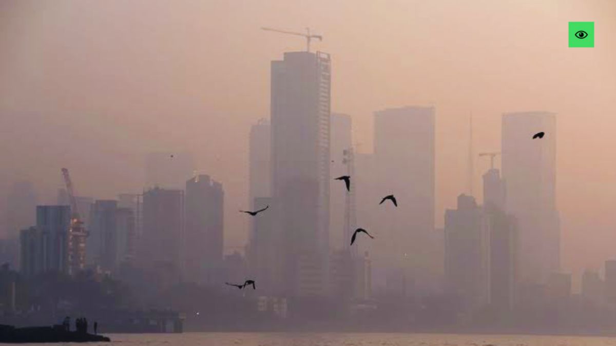 Bombay High Court Firecracker Ban