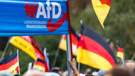 No, the AfD are not the Nazis – and neither are they Germany’s main problem right now - Wazir October 24, 2026 No, the AfD are not the Nazis – and neither are they Germany’s main problem right now – Wazir