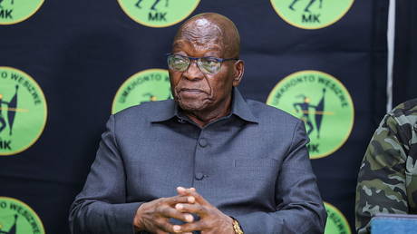 South African opposition party cancels major rally – Wazir